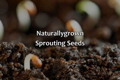 Naturally-Grown Sprouting Seeds