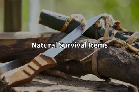 Natural Survival Items