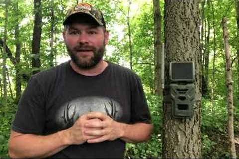 How to Use Instant Mode and On-Demand Requests from SPYPOINT | Trail Cameras | SPYPOINT