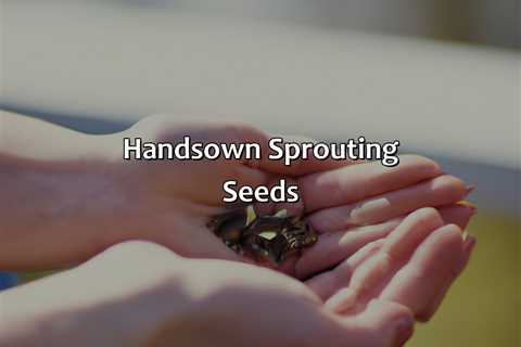 Hand-Sown Sprouting Seeds