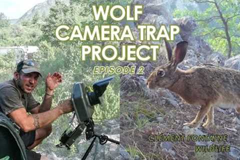 WOLF CAMERA TRAP Project (episode 2) :  SURPRISE on the trail cam and camera trap SET UP