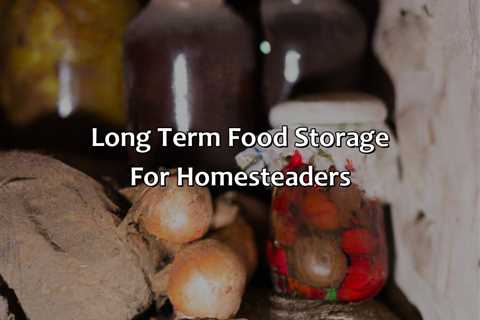 Long Term Food Storage For Homesteaders