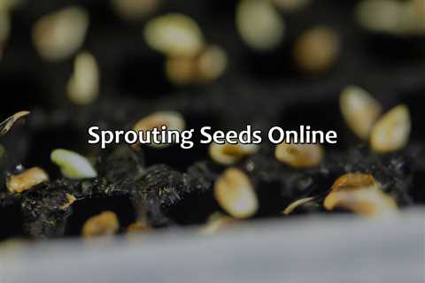 Sprouting Seeds Online