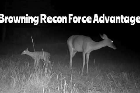 Browning Recon Force Advantage Trail Camera June 21-30, 2023