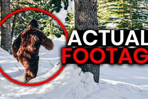 Bigfoot Caught on Trailcam Footage | Trail Cams