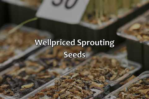 Well-Priced Sprouting Seeds