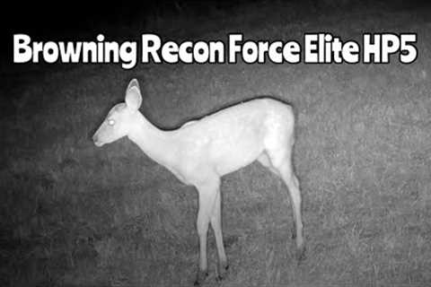 Browning Recon Force Elite HP5 Trail Cam: July 18-31, 2023