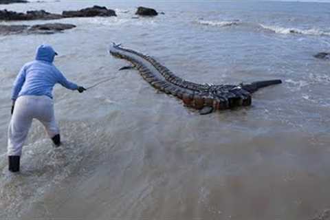 What a Man Captured in a River Shocked the Whole World