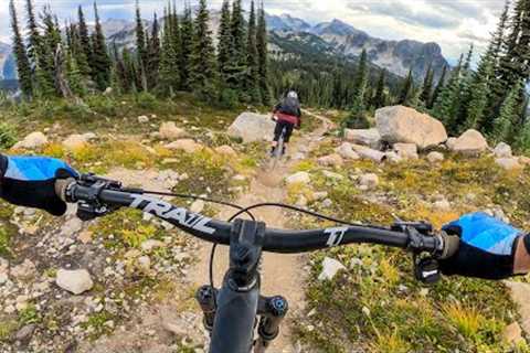 THIS is the trail I’ve been waiting for 🤯 Martha Creek, Revelstoke B.C.