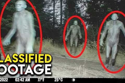 THESE Creatures Were Caught Stalking a Trail Cam