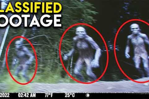 THIS Strange Footage Was Caught By a Hidden Trail Cam