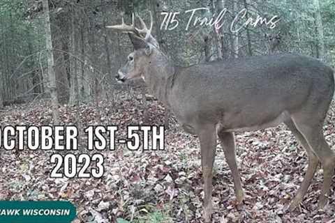 October 1st - 5th 2023 Tomahawk Wisconsin Trail Camera Highlights