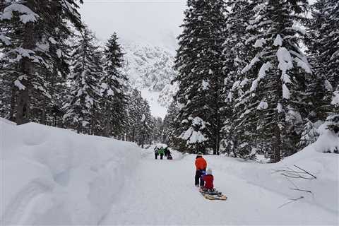 Popular Sledding Hill Along the Blue Ridge Parkway Shutdown Due to Overuse