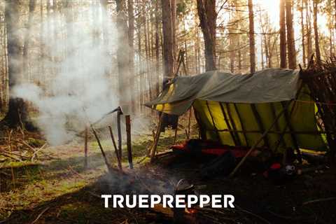 Best Survival Tarp for Prepping and Emergencies