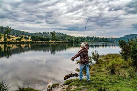 It’s Raining Fish: Here’s Why Fish Don’t Mind Being Dropped From Airplanes