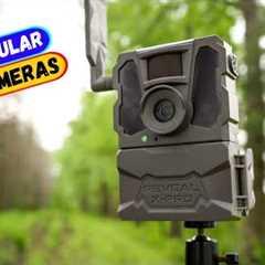 Best Cellular Trail Cameras You can Buy Right Now [2024]