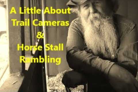 A Little About Trail Cameras & Horse Stall Rambling