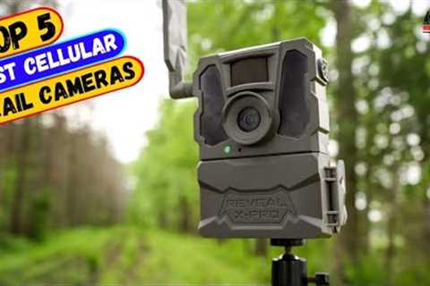 Best Cellular Trail Cameras You can Buy Right Now [2024]