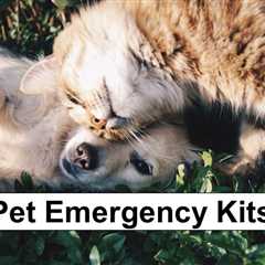 Pet Emergency Kit Considerations