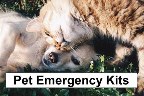 Pet Emergency Kit Considerations