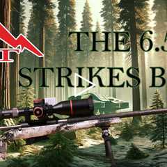 The 6.5 Strikes Back!!!  Norma Bondstrike that is!