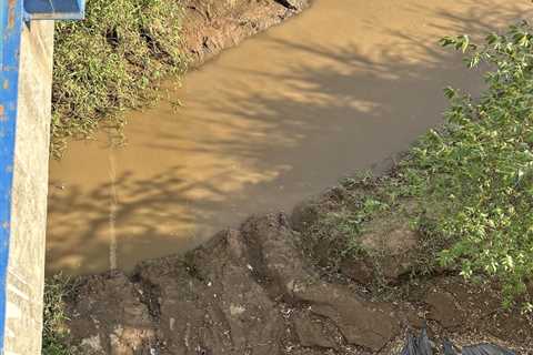 Can You Find the TWO Crocs in This Photo?