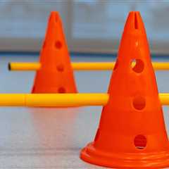 College Student Comes Up With Creative Way To Help Her Overweight Cat Lose Weight