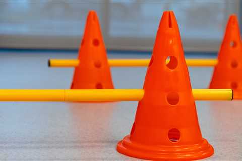 College Student Comes Up With Creative Way To Help Her Overweight Cat Lose Weight