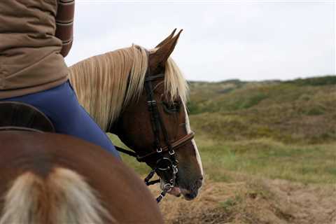 Horseback Rider Finds Speakers Playing Creepy Sounds on Trail